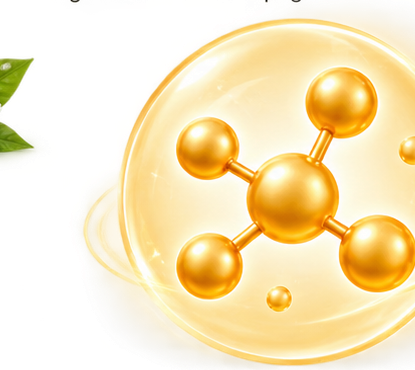 Protein